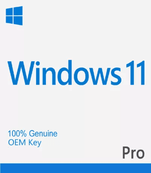 Windows 11 Pro OEM