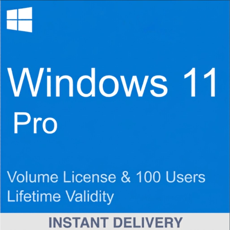 Windows 11 Pro Volume License